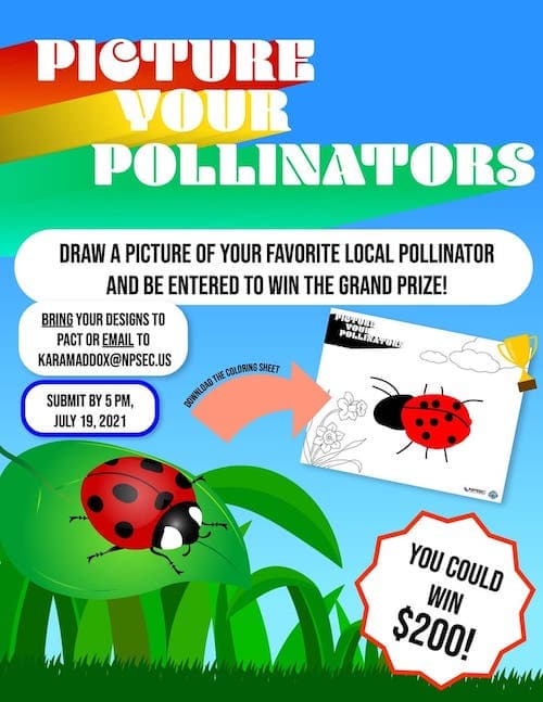 Picture Your Pollinators
